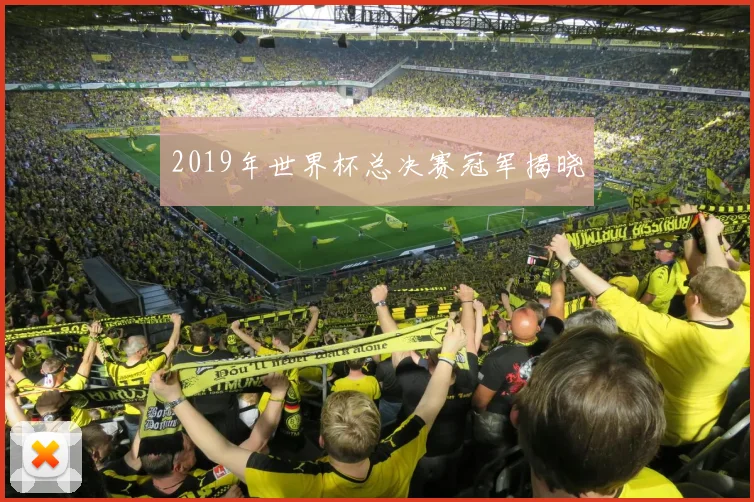2019年世界杯总决赛冠军揭晓