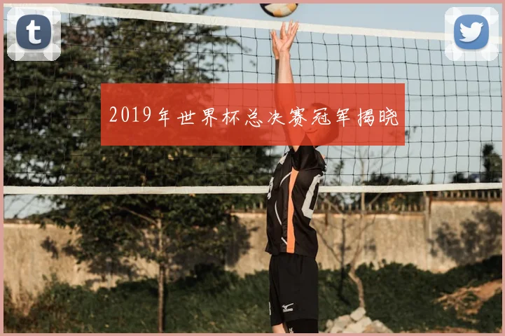 2019年世界杯总决赛冠军揭晓